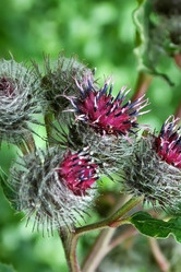 Similar image 1408432