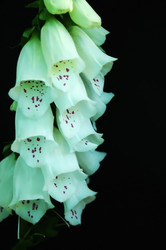 Similar image 1408434