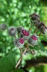 Similar image 1408438