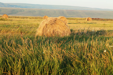 Similar image 1408498