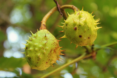 Similar image 1408499