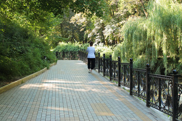 Similar image 1408502