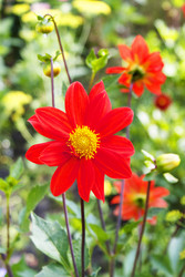 Similar image 1408507