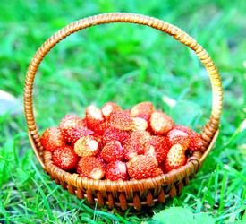 Similar image 1408537