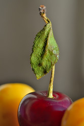 Similar image 1408558