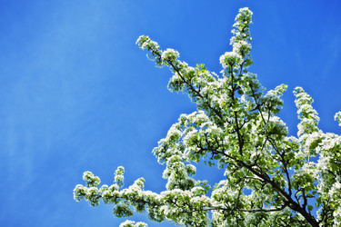 Similar image 1408568