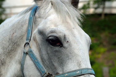 Similar image 1408582