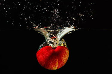 Similar image 1408608