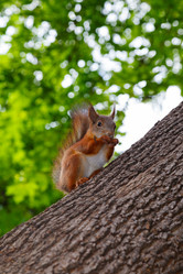 Similar image 1408627