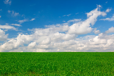 Similar image 1408654