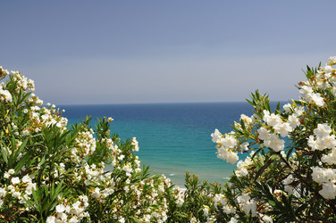 Similar image 1408717