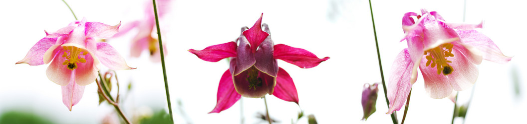 Similar image 1408724