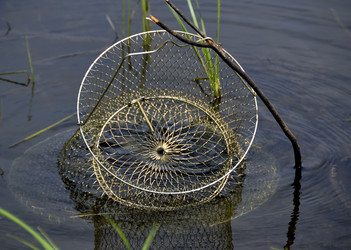 Similar image 1408801