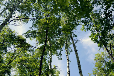 Similar image 1408802