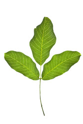 Similar image 1408803