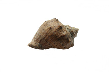 Similar image 1408942