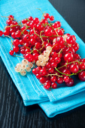 Similar image 1408944