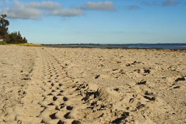 Similar image 1408957