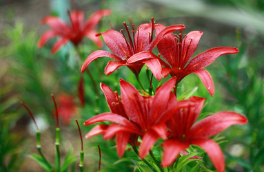 Similar image 1409019