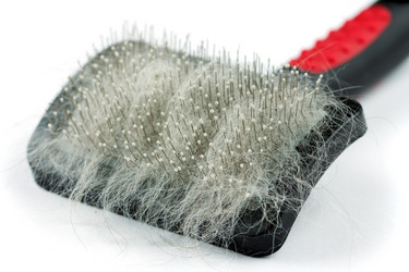 Similar image 1409021