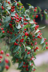 Similar image 1409023