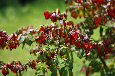 Similar image 1409024