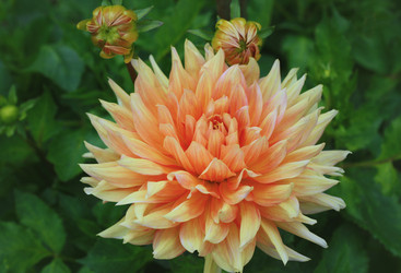 Similar image 1409026