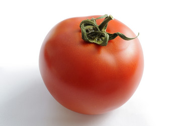 Similar image 1409041