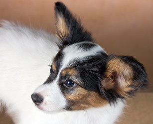 Similar image 1409049