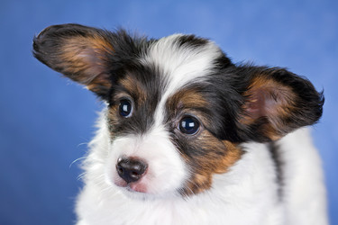 Similar image 1409061