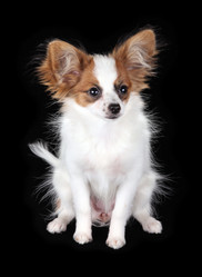 Similar image 1409069