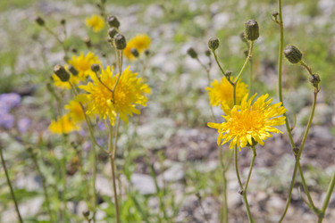 Similar image 1409138