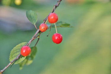 Similar image 1409139