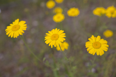 Similar image 1409141