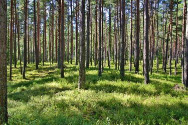 Similar image 1409160