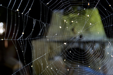 Similar image 1409161