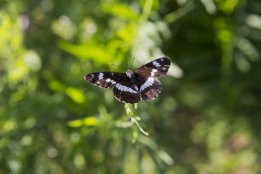 Similar image 1409202