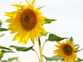 Similar image 1409221