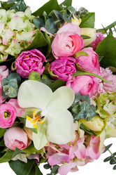 Similar image 1409326