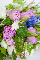 Similar image 1409336