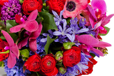 Similar image 1409345