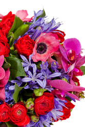 Similar image 1409346