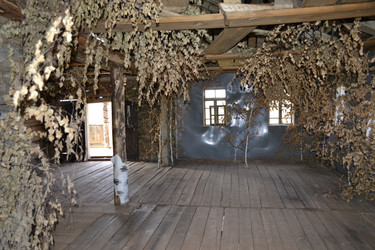 Similar image 1409361