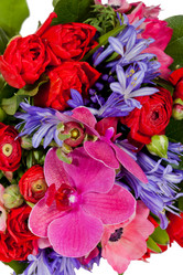 Similar image 1409367