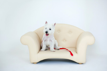 Similar image 1409379