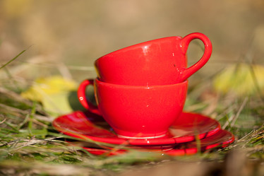 Similar image 1409406