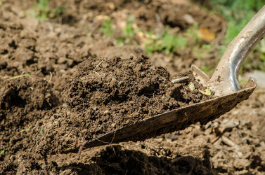 Similar image 1409511