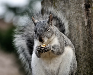 Similar image 1409521