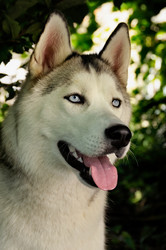 Similar image 1409536