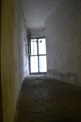 Similar image 1409553